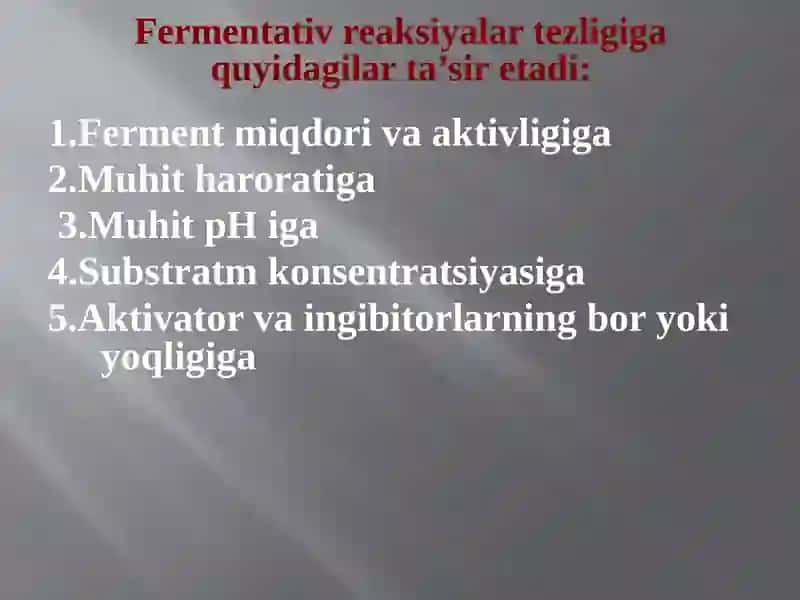 Fermentlar 2