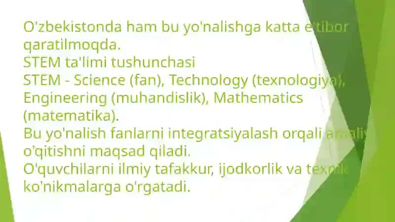 STEM Ta'limi 2