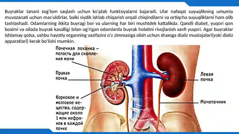 Dializ Apparati haqida 2