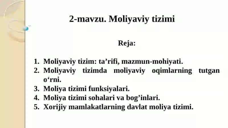 Davlatiy Moliya Fanidan Taqdimot Reja 2