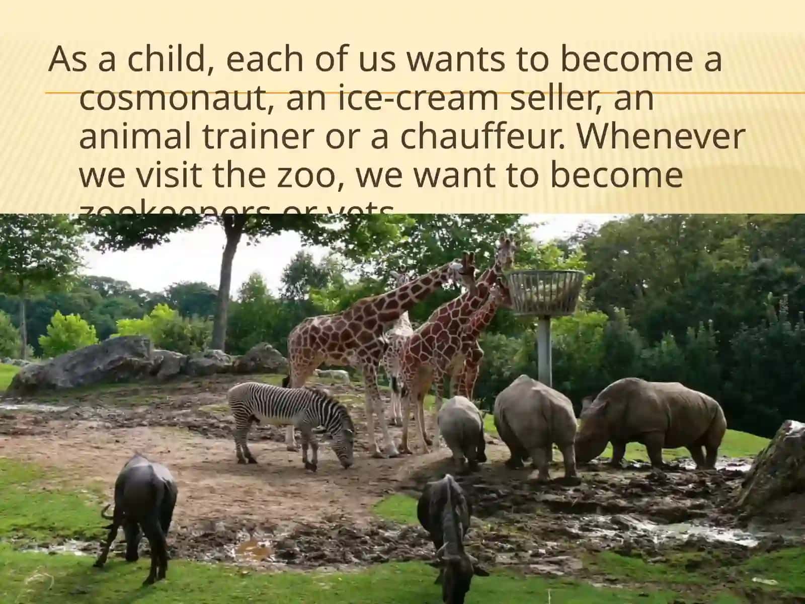 My dream job 2