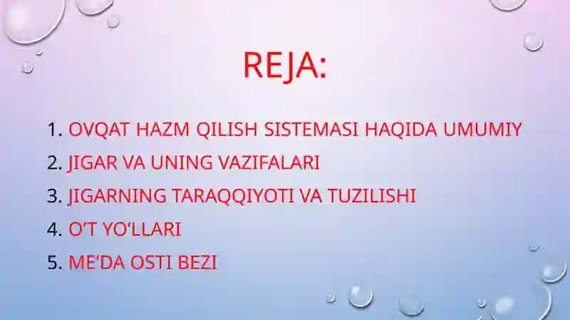 ovqat hazm qilish sistemasi. jigar. meʼda osti bezi gistologiyasi 2