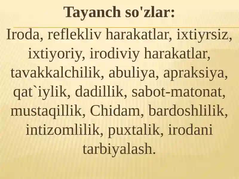 Iroda haqida tushuncha 2