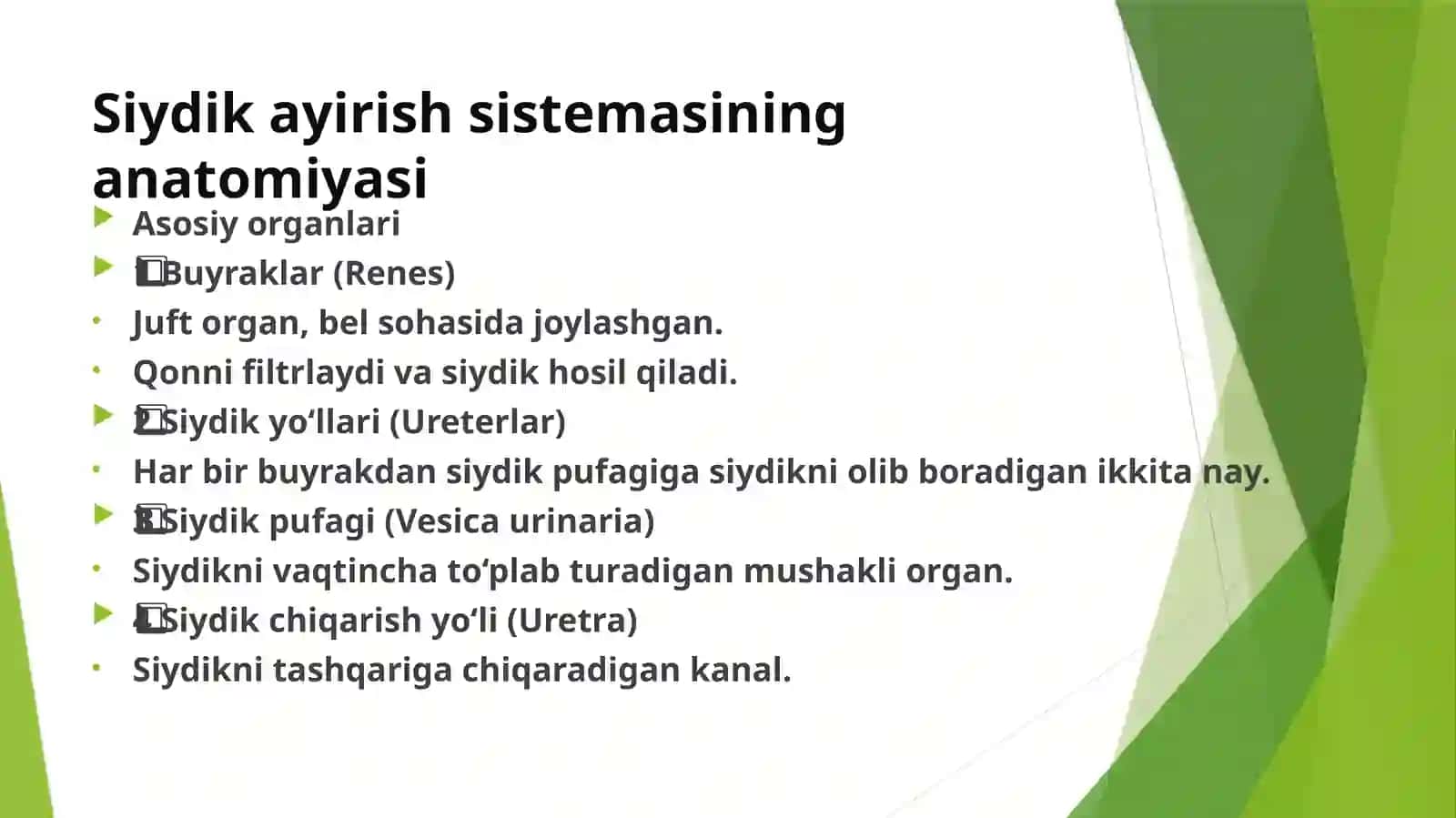SIYDIK AYIRISH SISTEMASI XAVFSIZ O’SMA KASALLIGI 2