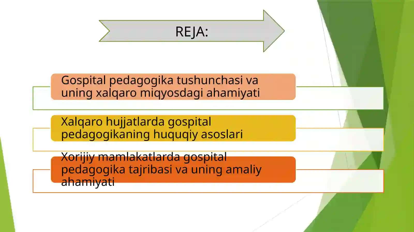 Gospital pedagogika tushunchasi va uning xalqaro miqyosdagi ahamiyati 2