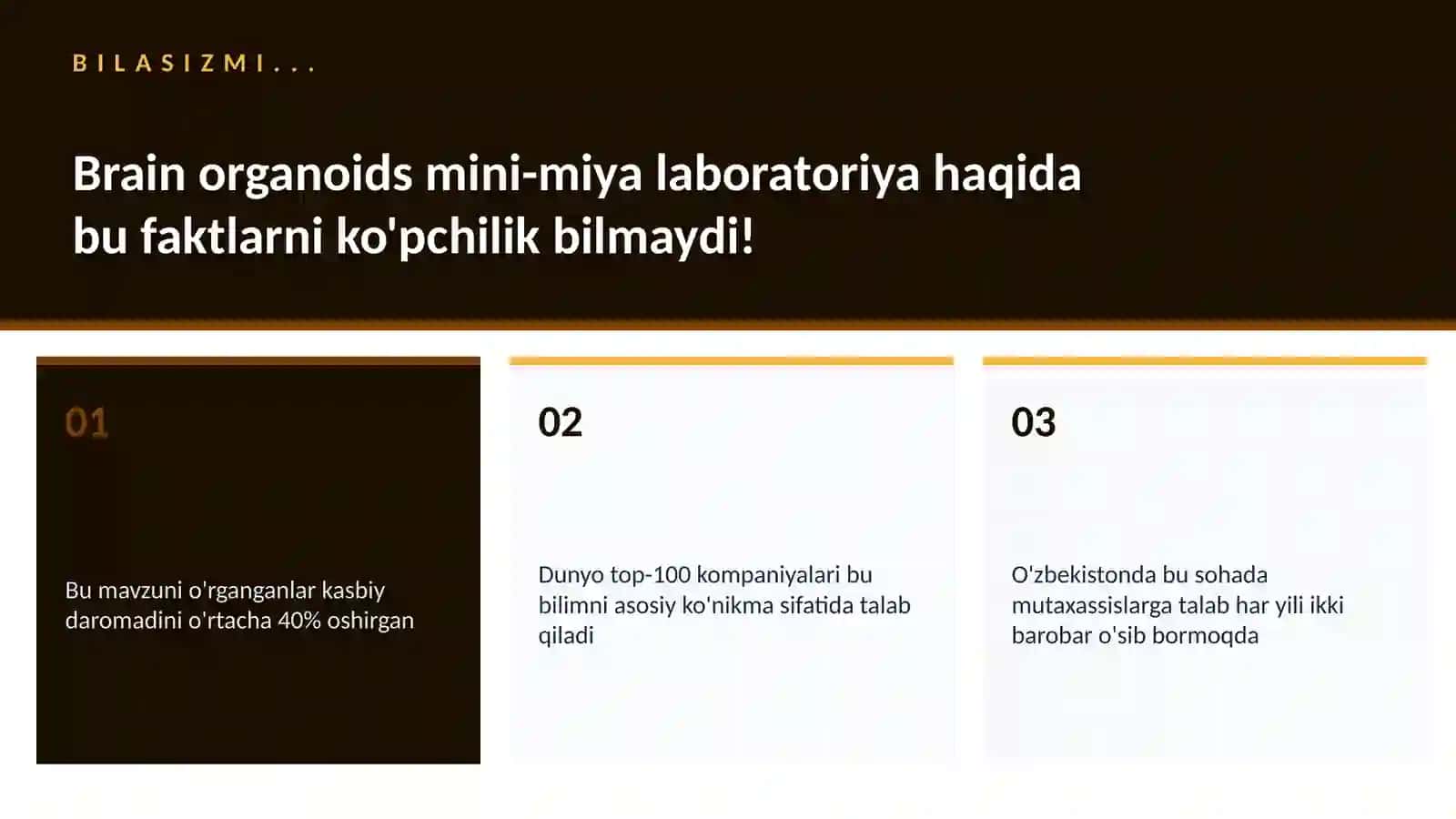 Brain organoids mini-miya laboratoriya 2