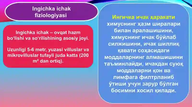 Ingichka va yo’g’on ichakda ovqat hazm bo’lishi 2