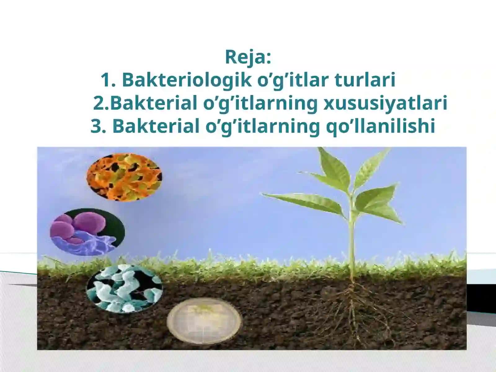 Bakteriologik  o’g’itlar va ularning qo’llanilishi 2