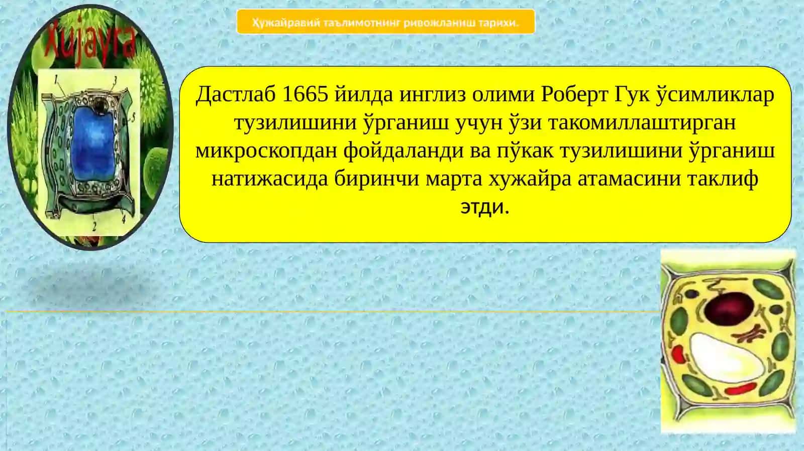 Ҳужайранинг тузилиши 2