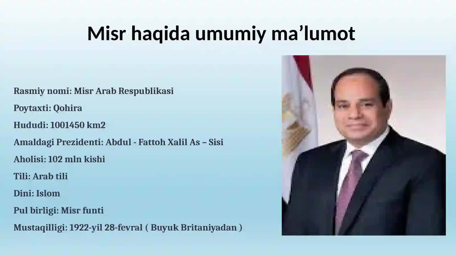 MISR ijtimoiy siyosati 2