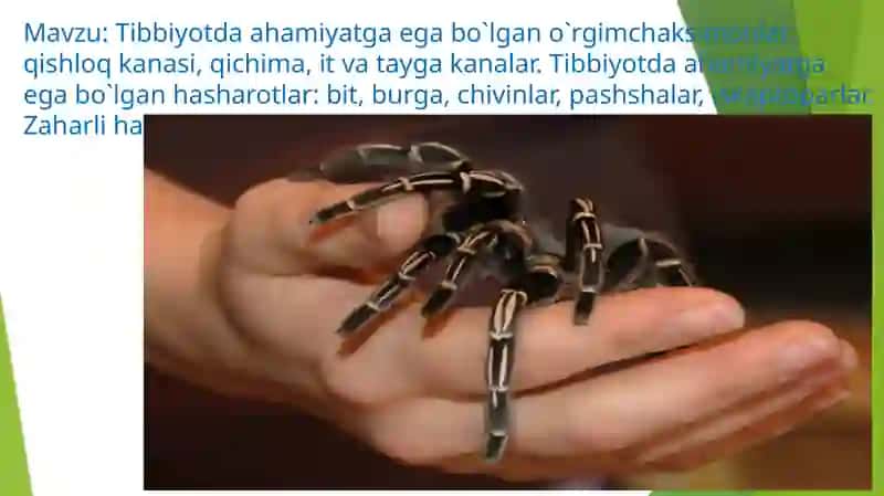 Tibbiyotda ahamiyatga egabo`lgan oyin 2