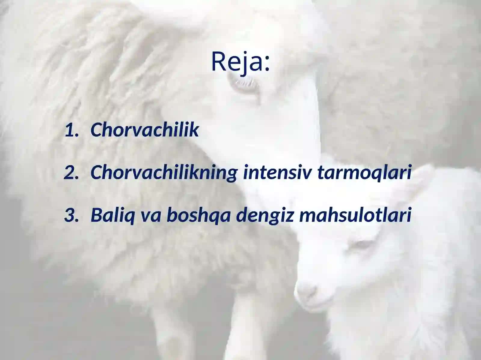 Baliq va boshqa dengiz mahsulotlari 2