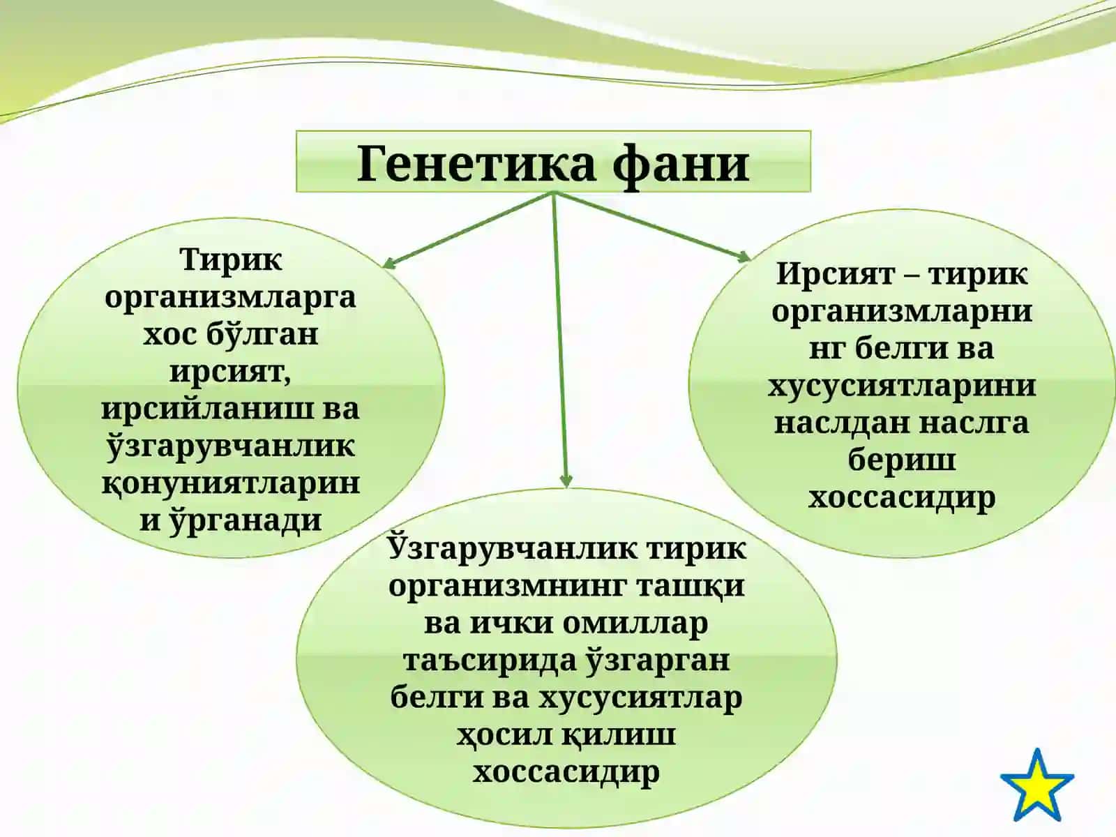 Умумий генетика асослари. Генотип, фенотип ва муҳит 2