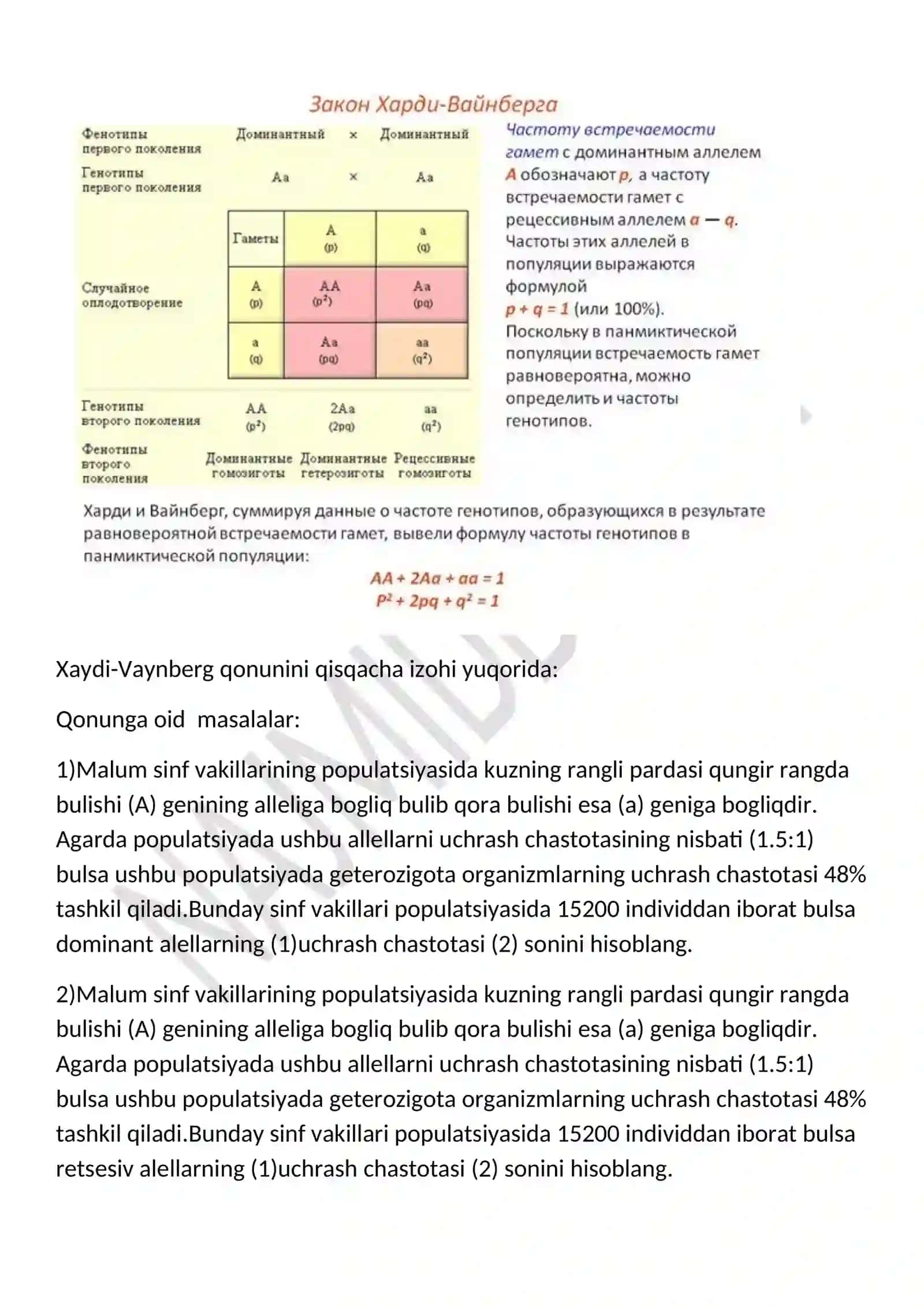 Xardi-Vaynberg Populatsiya genetikasi 2