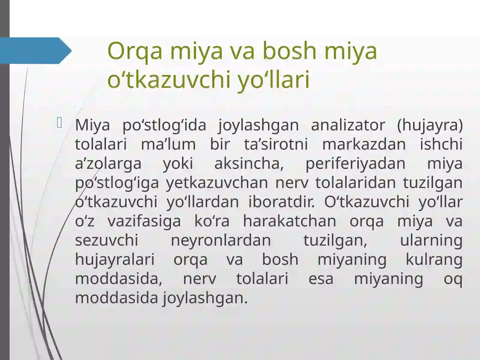 Ma’ruza№6.Oddiy refleks yoyi. Sezgi va harakat o’tkazuv yo’llari 2
