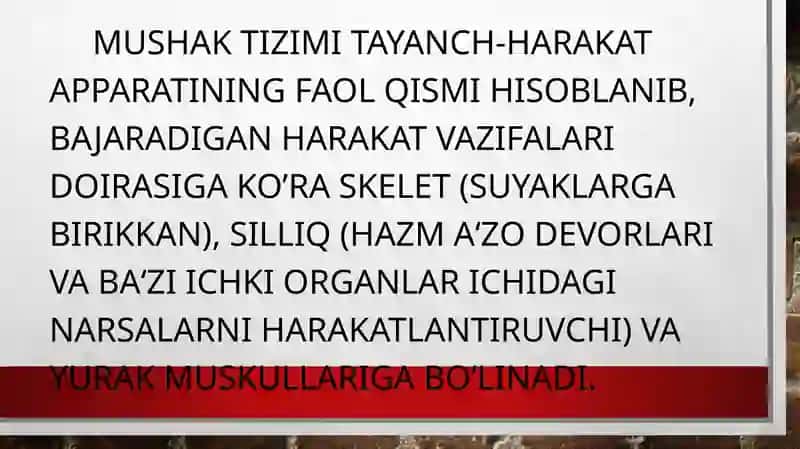 BOLALARDA MUSHAK TIZIMI ANATOMOFIZIOLOGIK XUSUSIYATLARI 2