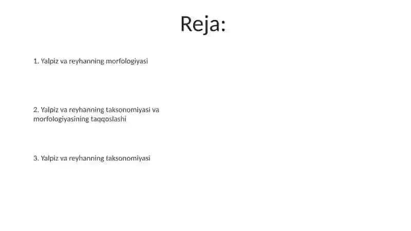 Yalpiz va rayhon sistematikasi va morfologiyasi 2