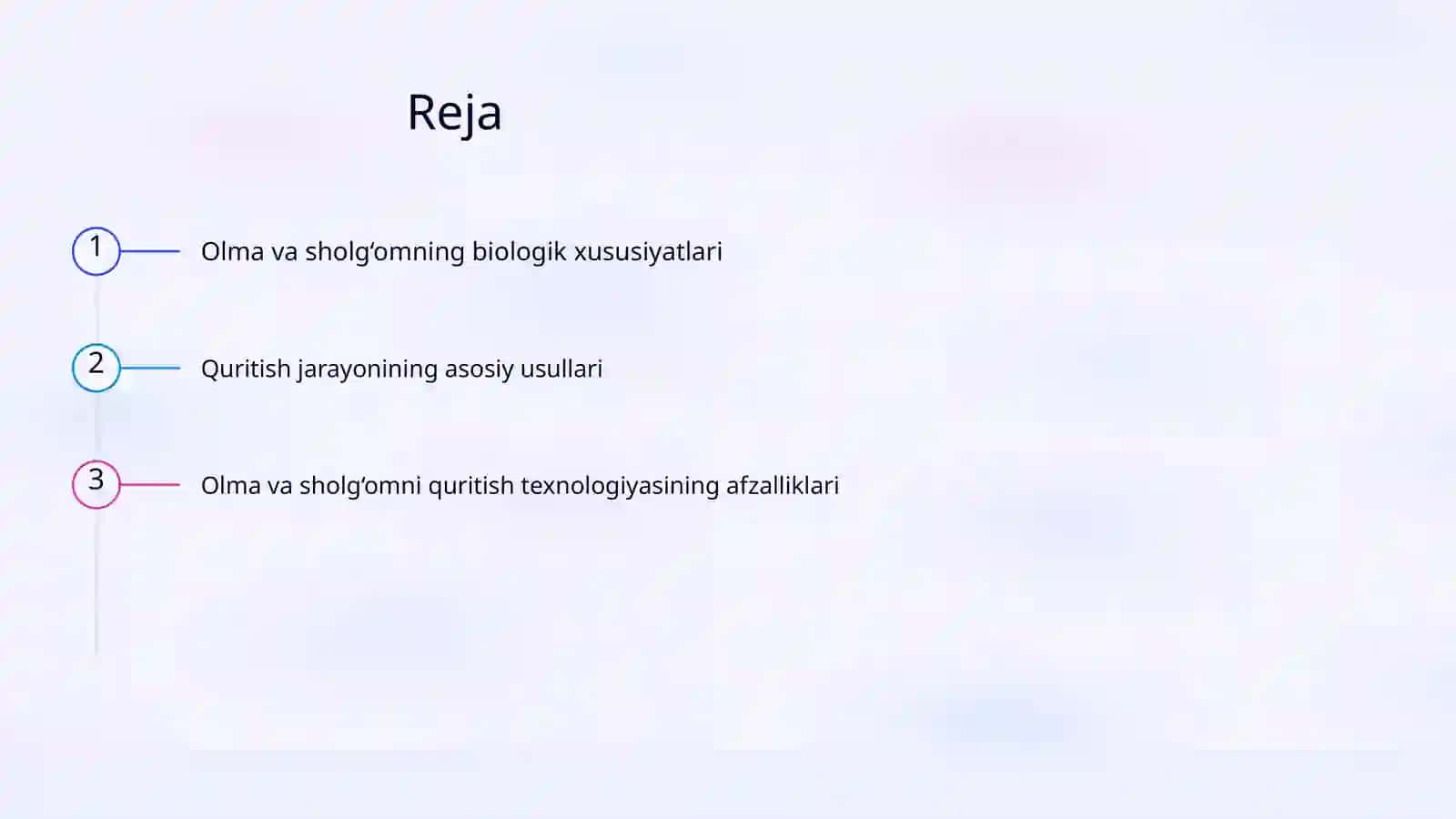 Olma va sholg‘omni quritish texnologiyalasi 2