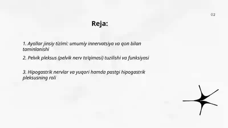 Ayollar jinsiy tizimi innervatsiyasi va qon bilan taminlanishi 2