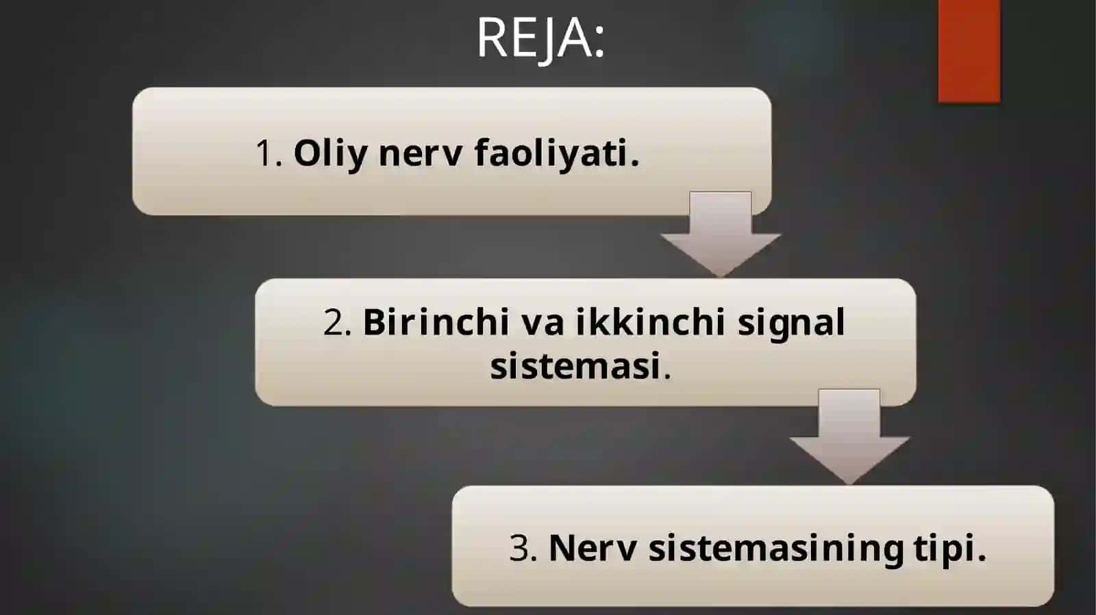OLIYNERV FAOLIYATI TIPLARI 2