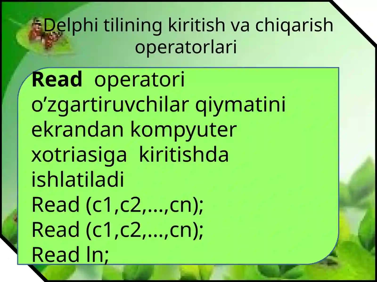 Delphidasturlashtiliningoperatorlari 2