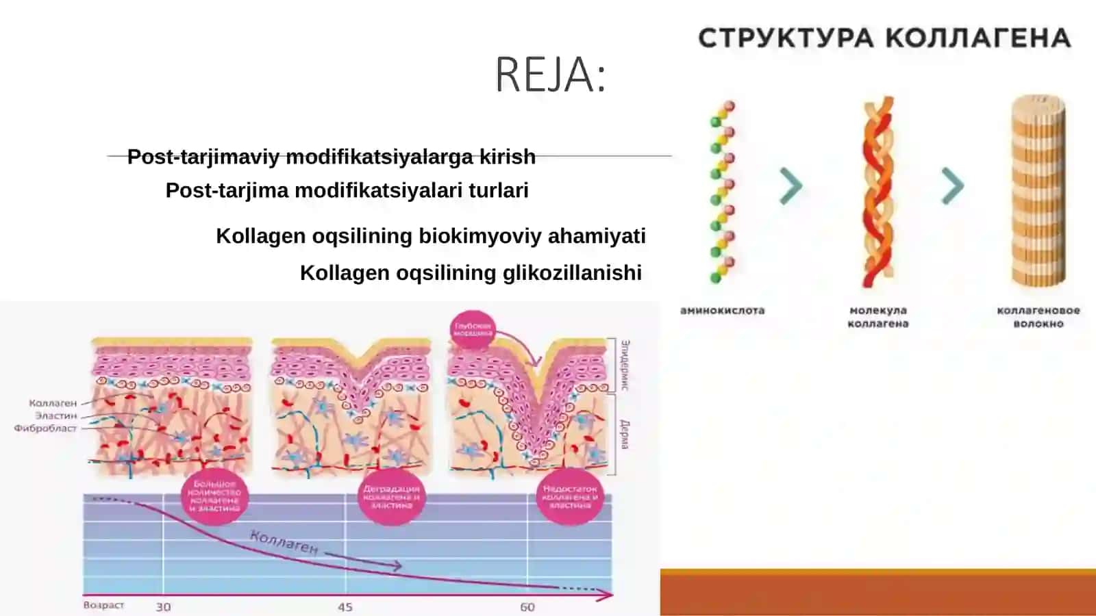 Turli xil oqsillarning translyatsiyadan keyingimodifikatsiyalari 2