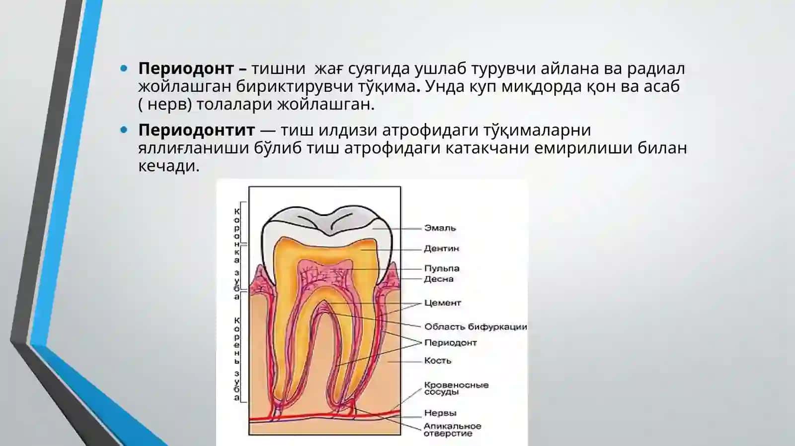 Тишсақловчи операциялар 2