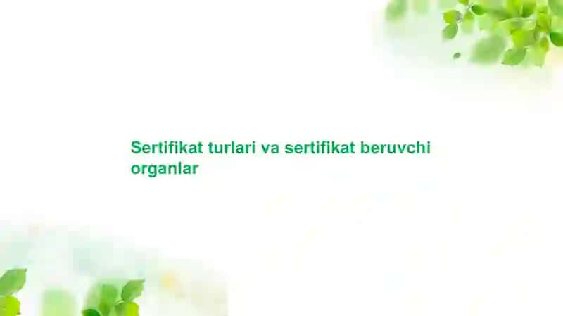 Sertifikat turlari va sertifikat beruvchi organlar 2