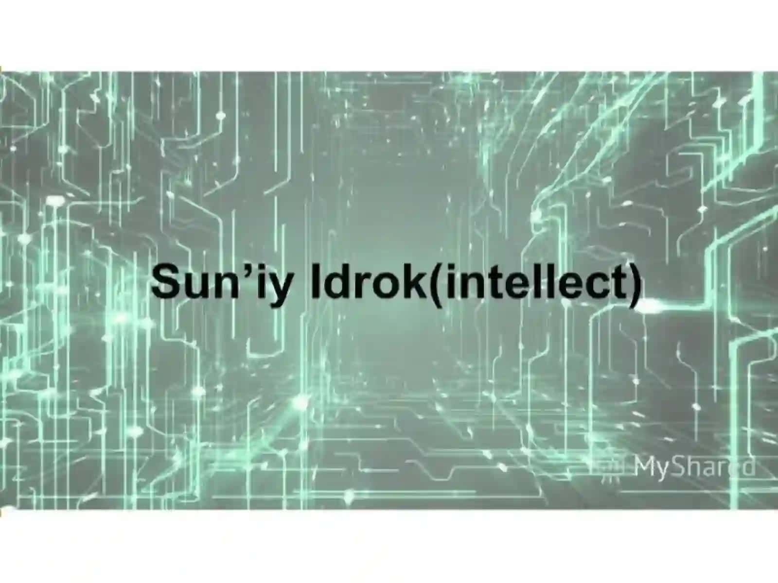 IDROK 2