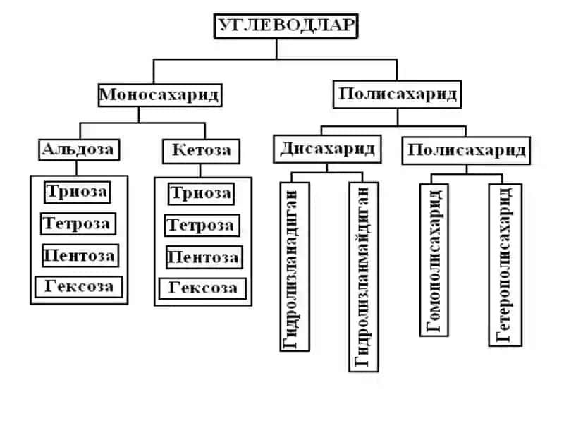 Углеводлар 2