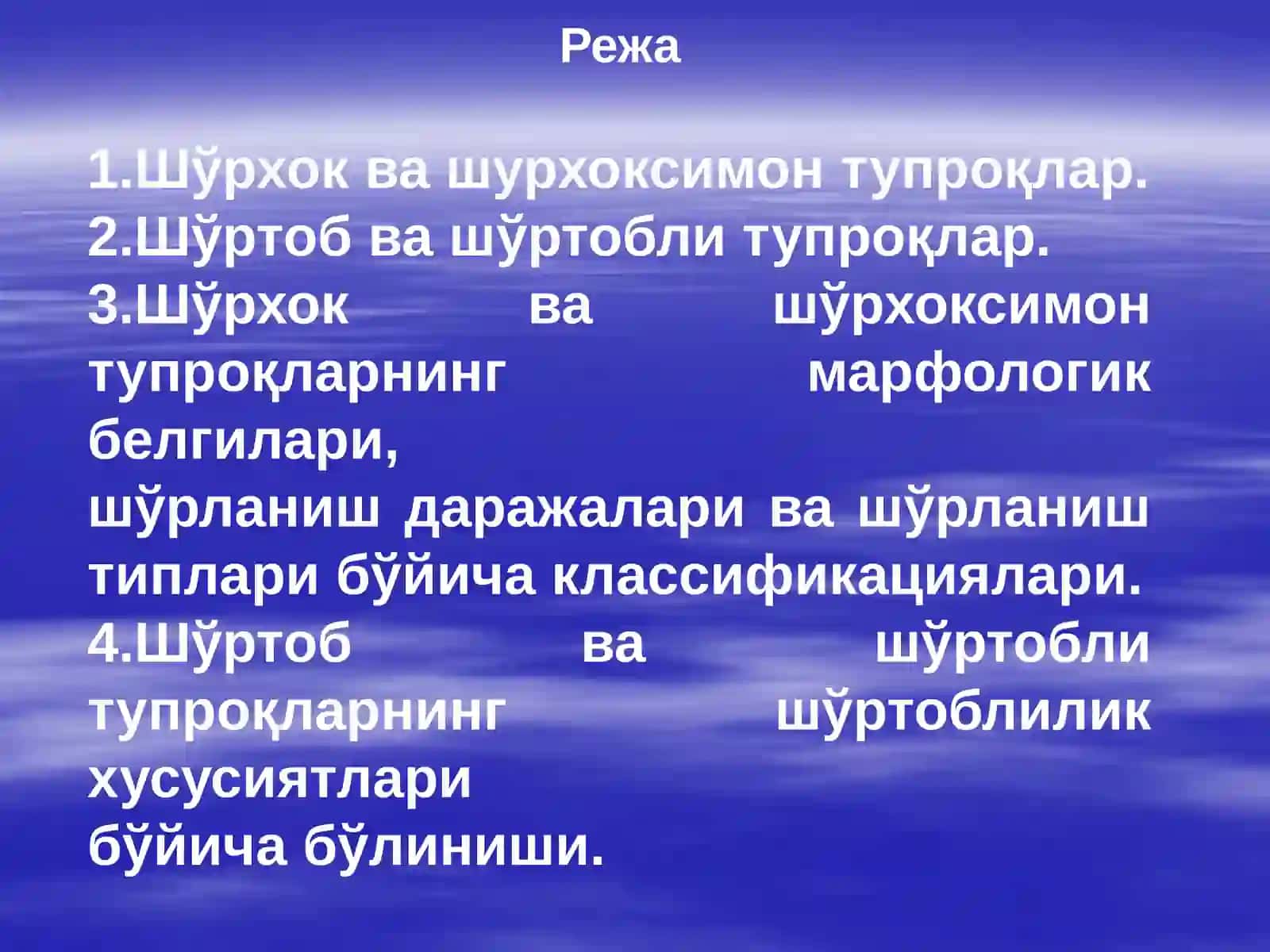 Шўрланган тупроқлар 2