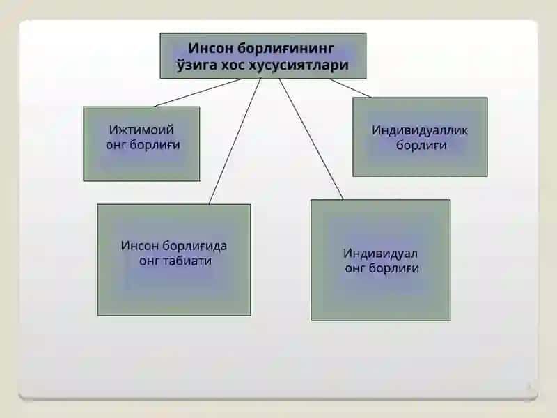 Инсон борлиғи 2