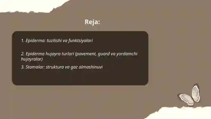 O'simliklarni Qoplovchi to'qimsi 2