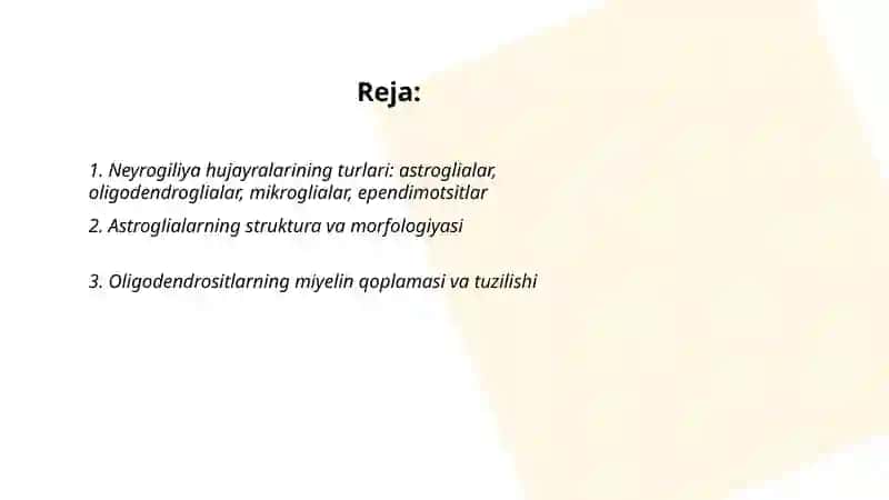 Neyrogiliya hujayralarining tuzilishi va funksiyalari 2