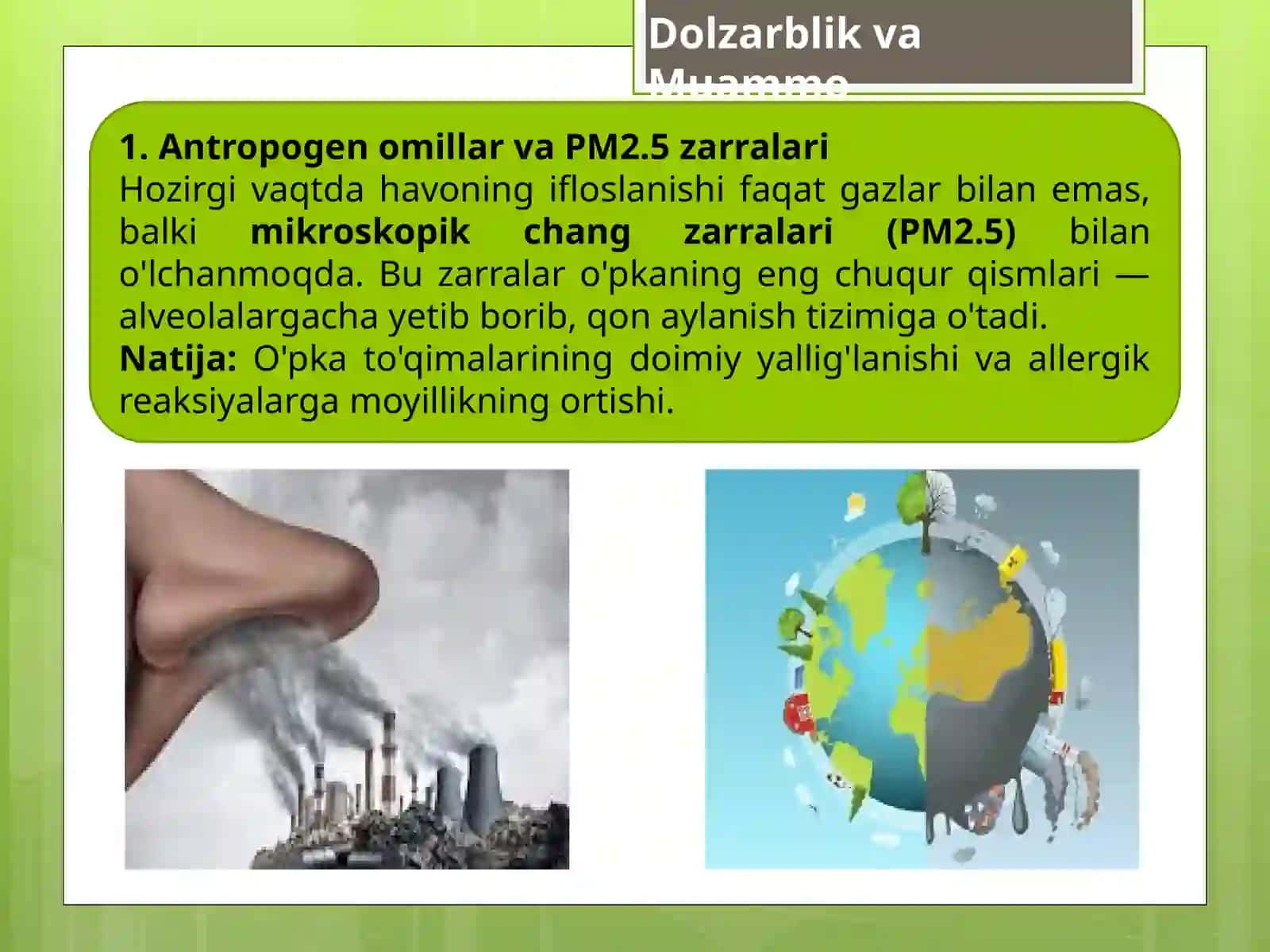 Nafas organlarikasalliklari daza mo 'mavziy tibbiy ot va xalq tabobati ni uygunlash tiri sh t amoyillari 2