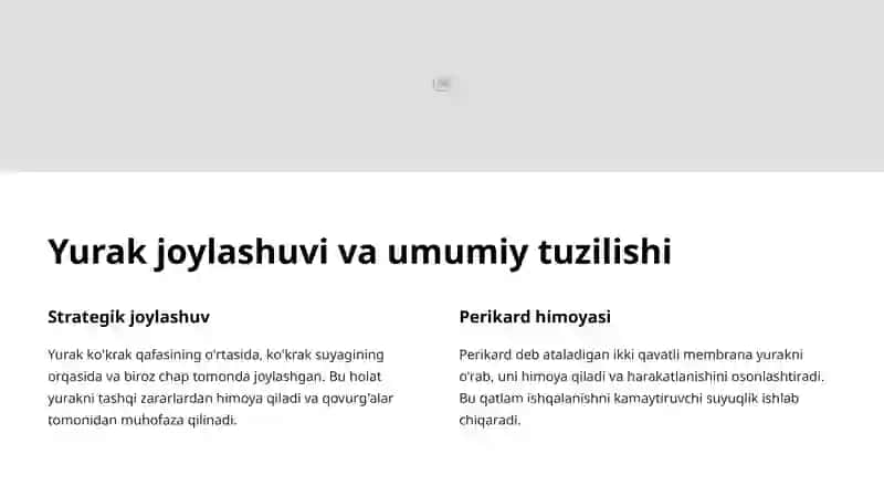 Yurak devorlari anatomiyasi 2