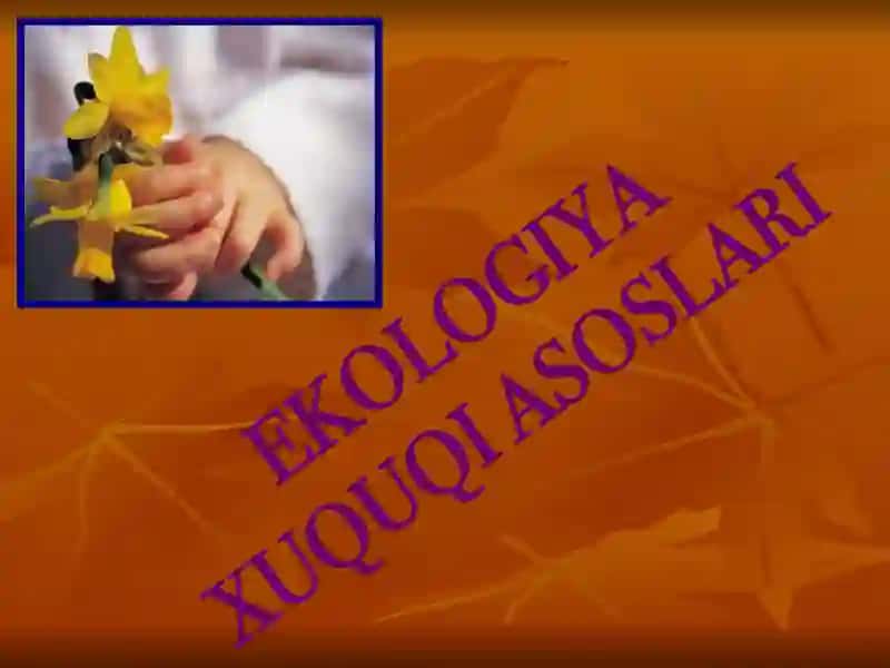 Ekologiya huquqi asoslari 2
