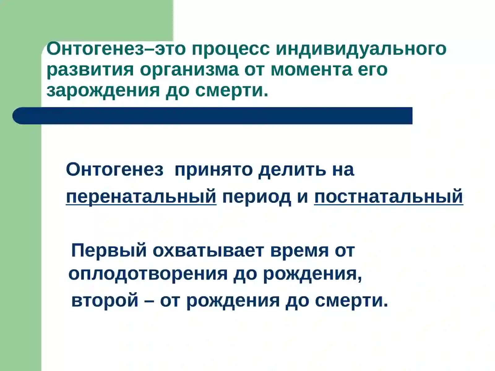 Пренатальнаяпатология 2