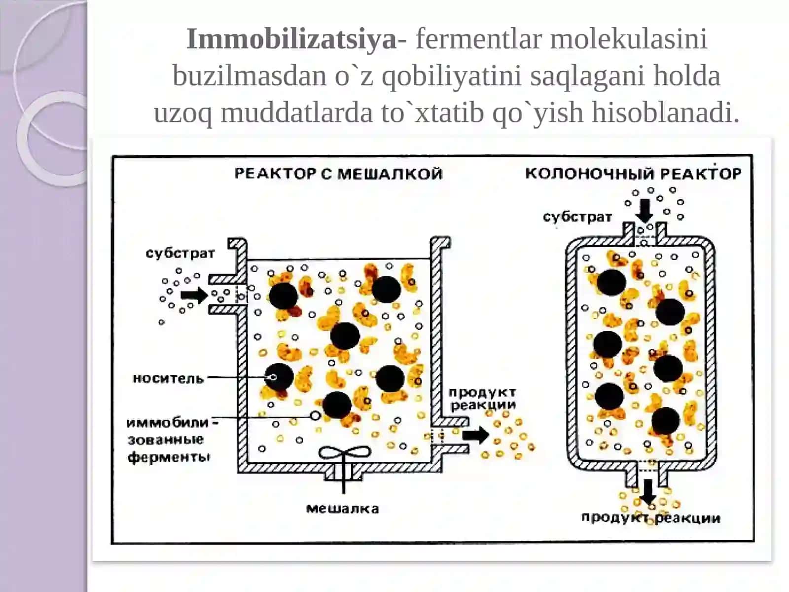 FERMENTLARNI IMMOBILASHNING FIZIK USULLARI 2