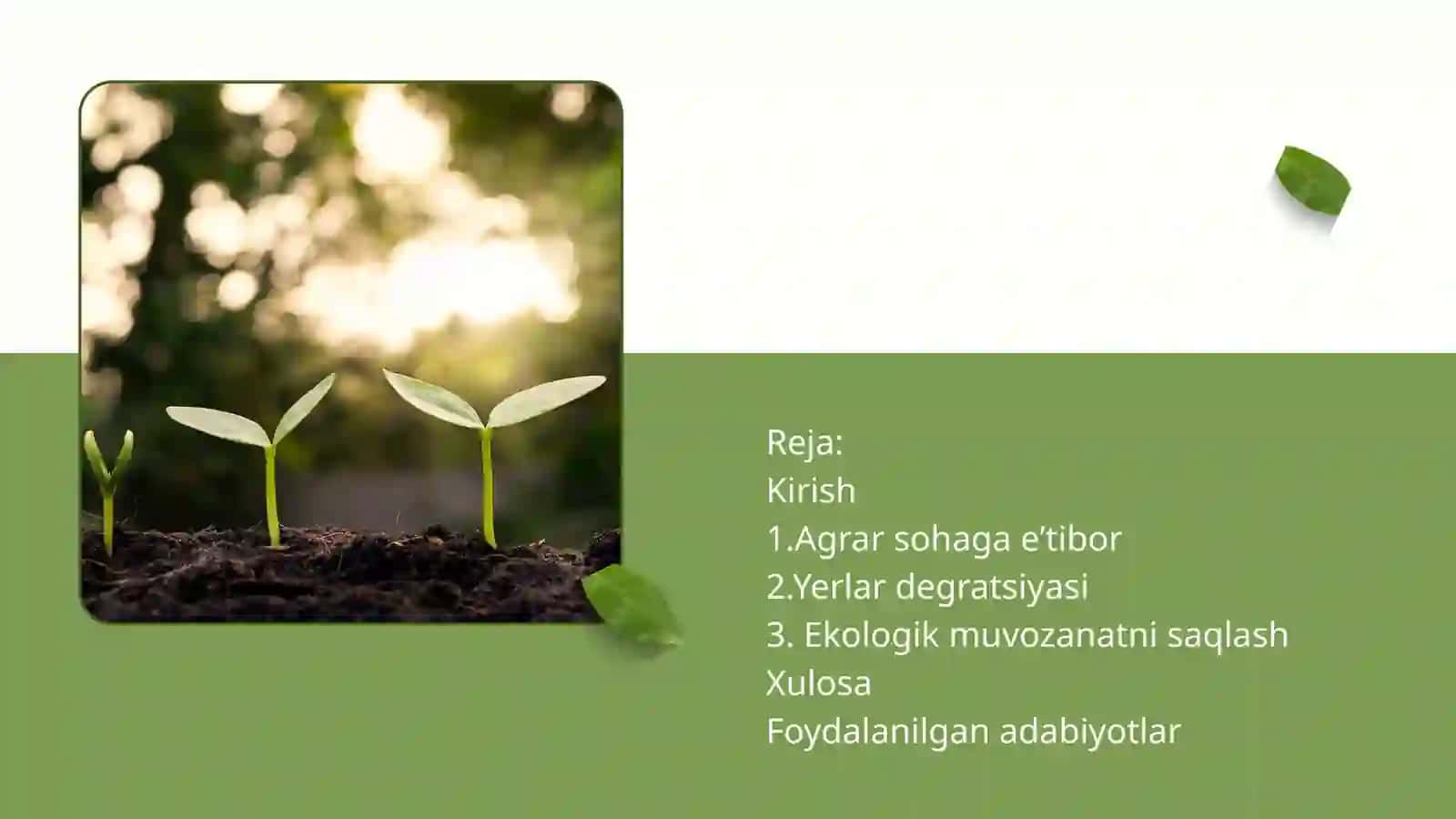 QISHLOQ XO‘JALIGI VA EKOLOGIYA 2