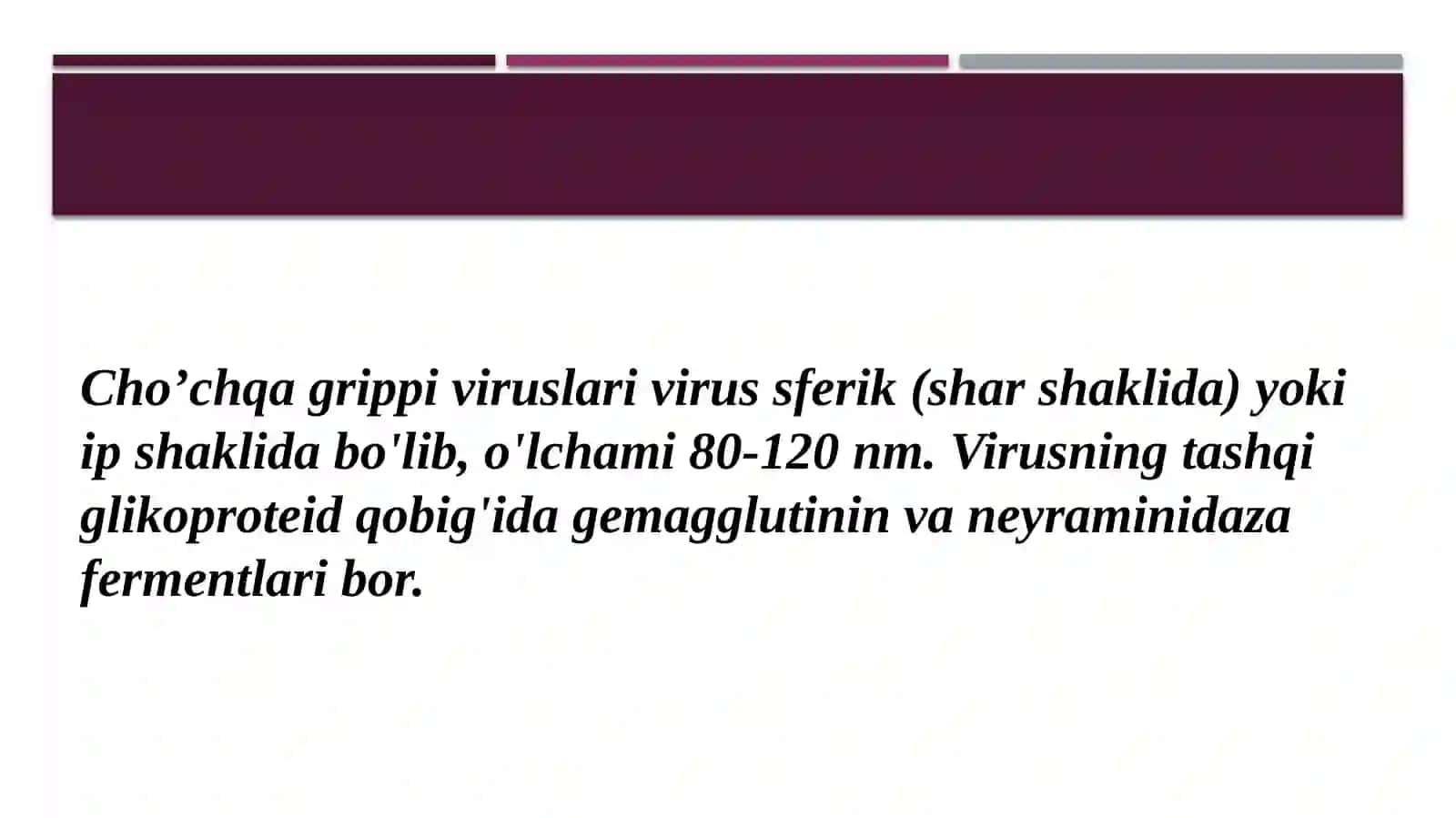 Cho’chqa grippi va uning xozirgi kundagi muammolari 2