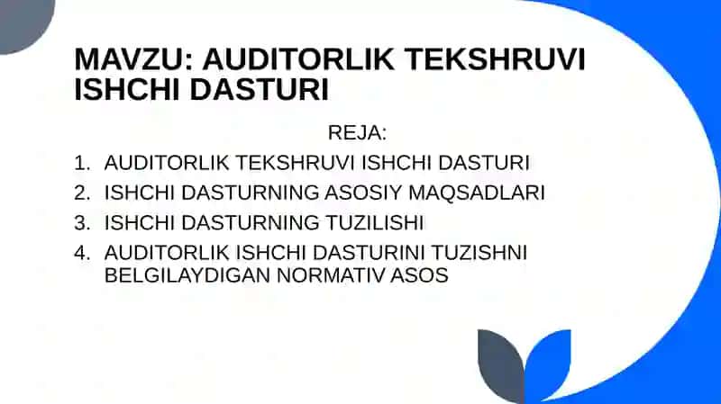 Auditorlik tekshruvi ishchi dasturi 2