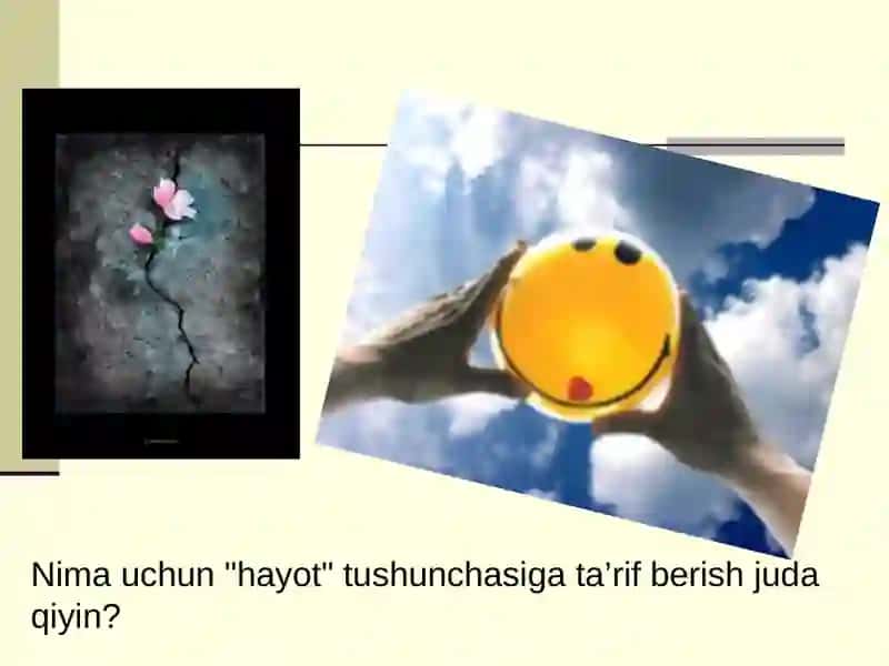 HAYOT MOHIYATI VA TIRIKLIKNING XUSUSIYATLARI 2