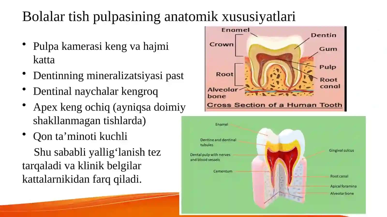 Bolalarda o‘tkir va surunkali pulpitlarning o‘ziga xos klinik xususiyatlari va tashxisi. 2