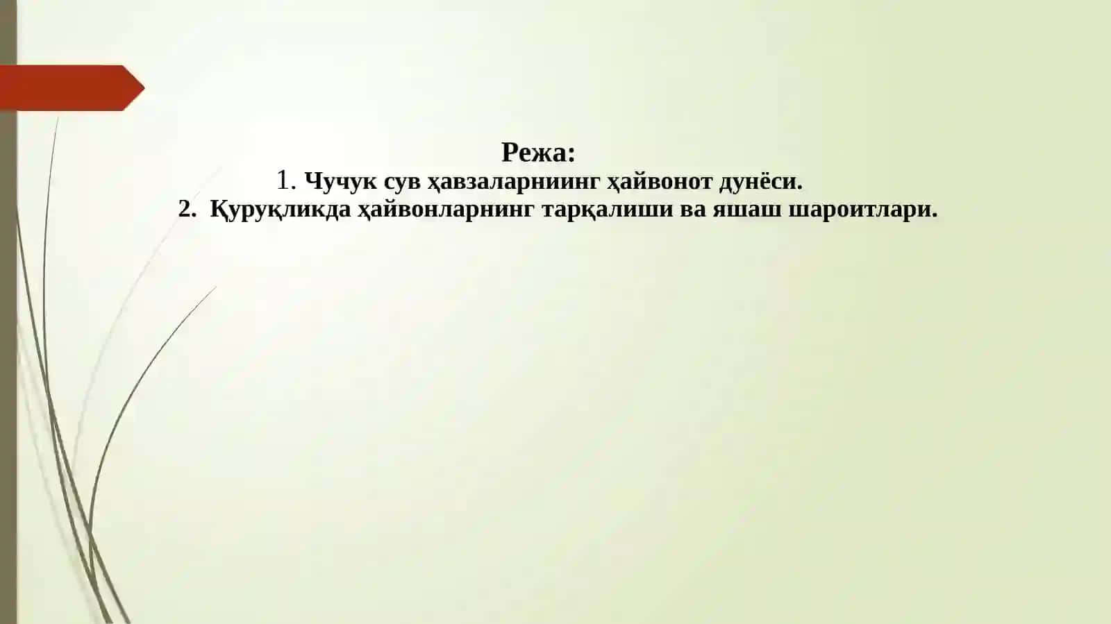 Чучук сув ҳавзалари ва қуруқликда ҳайвонларнинг тарқалиши 2