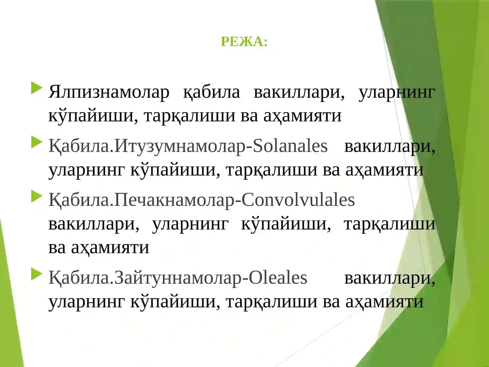 Ялпизнамолар-Lamiales қабиласи 2