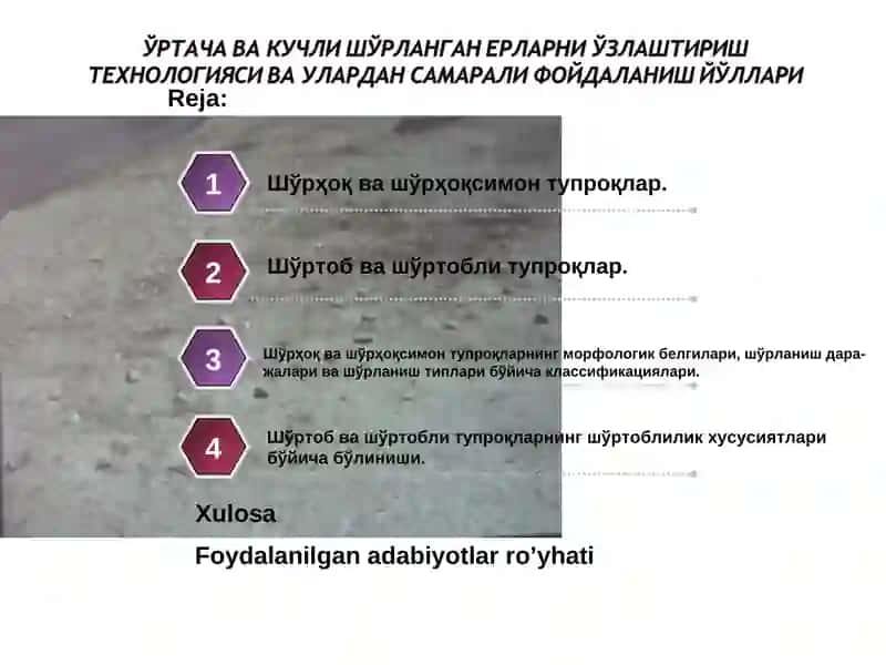 Шўрҳоқ ва шўрҳоқсимон тупроқлар 2