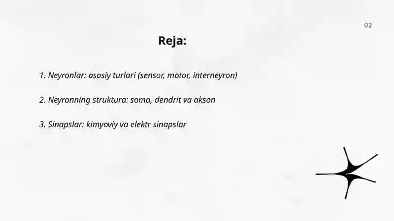 Nerv toqimasining tarkibi va hujayralari 2