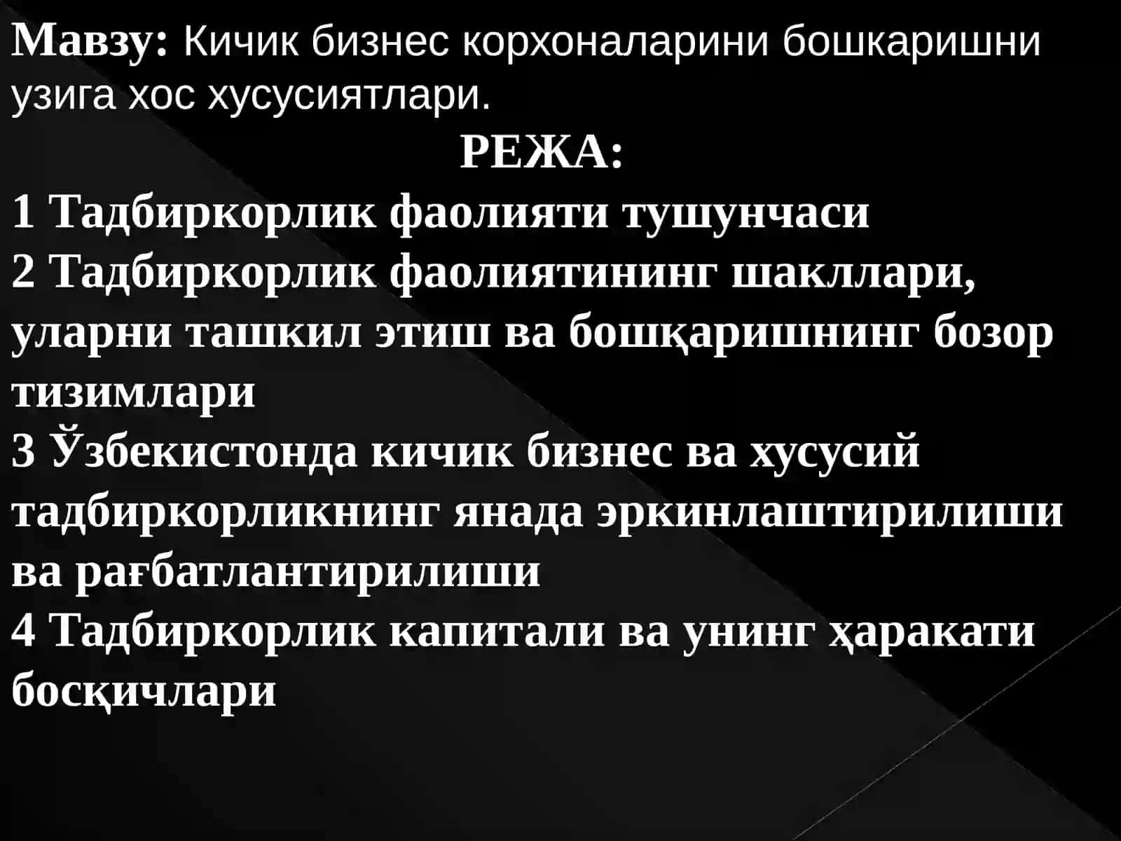 Kichik biznes va tadbirkorlik 2