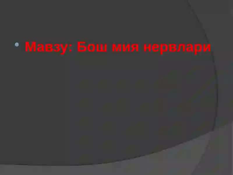 Орқа мия нервлари 2